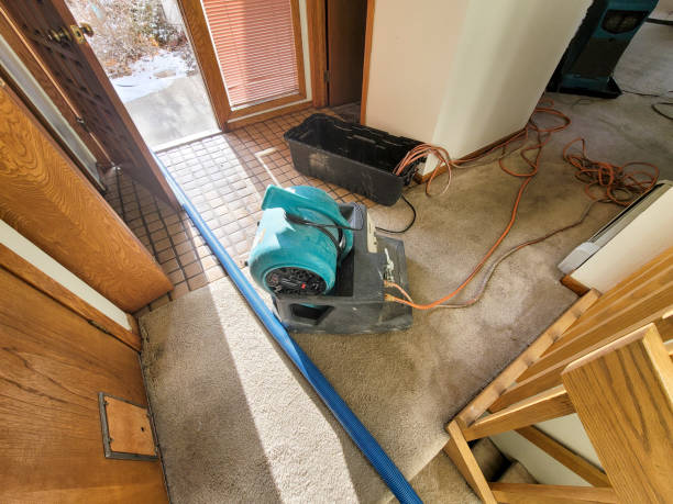 Best Plumbing Leak and Burst Pipe Cleanup in Dexter, NM