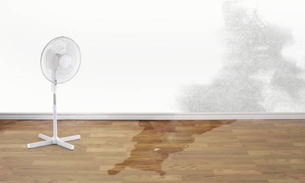 Best Wood Floor Water Damage Restoration in Dexter, NM